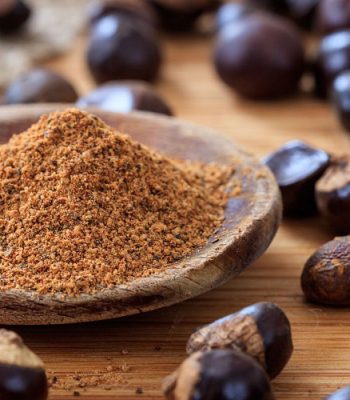 Guarana nuts and powder on a table