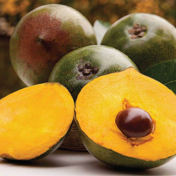 Lucuma abierta por la mitad