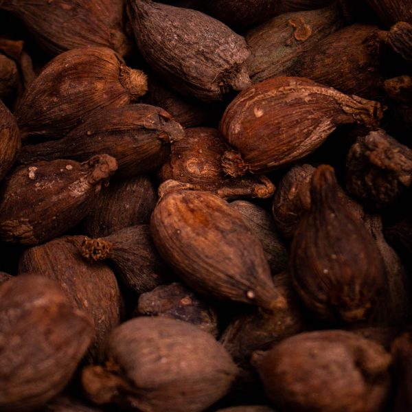 Semillas de cacao